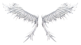 [Bound] Small Wings of Heaven