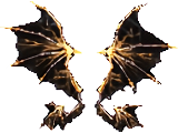 Wing of Storm