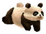 Pet Panda